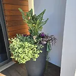 Nyaraló Petit Maison *