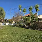 Petit Maison