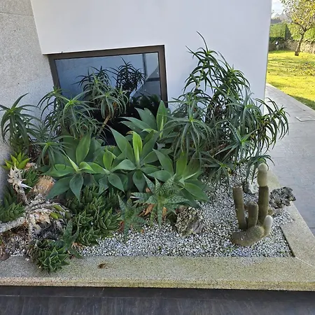 Petit Maison Hébergement de vacances Alem da Ribeira