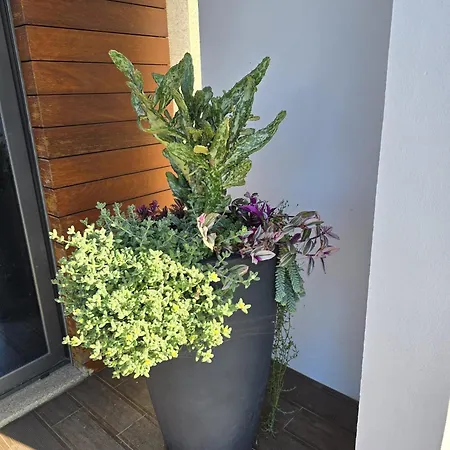 Hébergement de vacances Petit Maison *