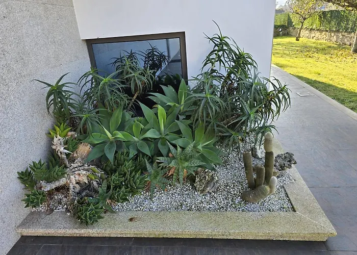 Petit Maison Dom wakacyjny Alem da Ribeira