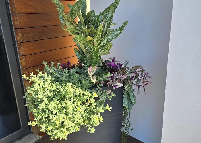 Dom wakacyjny Petit Maison *